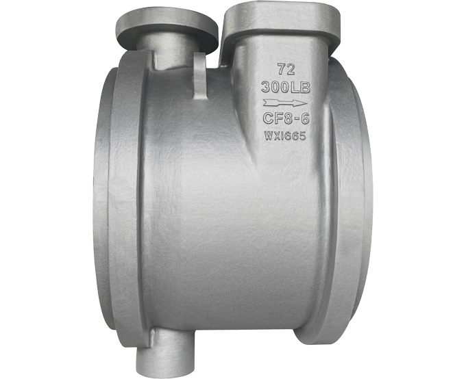72-300LB CF8-6(图1)